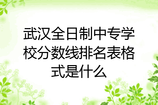 武汉全日制中专学校分数线排名表格式是什么