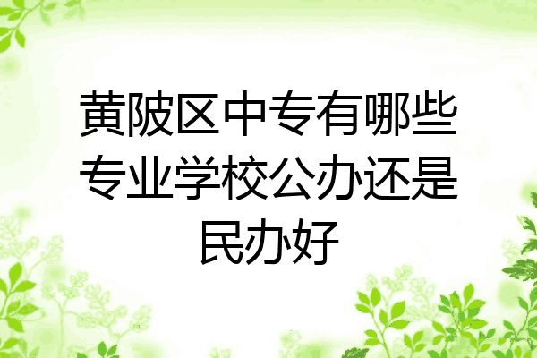 黄陂区中专有哪些专业学校公办还是民办好