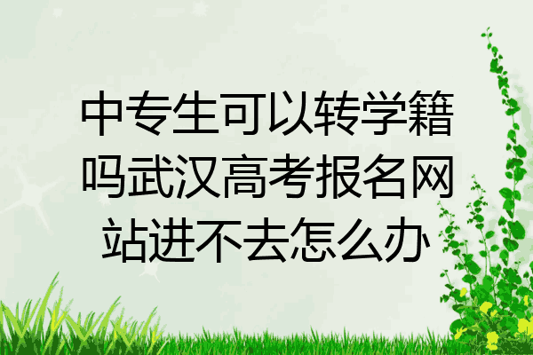中专生可以转学籍吗武汉高考报名网站进不去怎么办