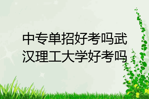 中专单招好考吗武汉理工大学好考吗