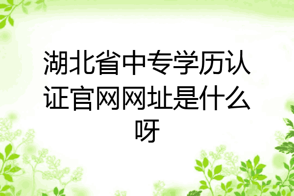 湖北省中专学历认证官网网址是什么呀