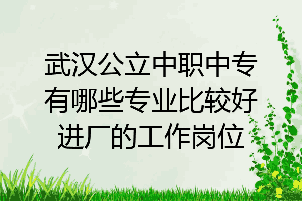 武汉公立中职中专有哪些专业比较好进厂的工作岗位