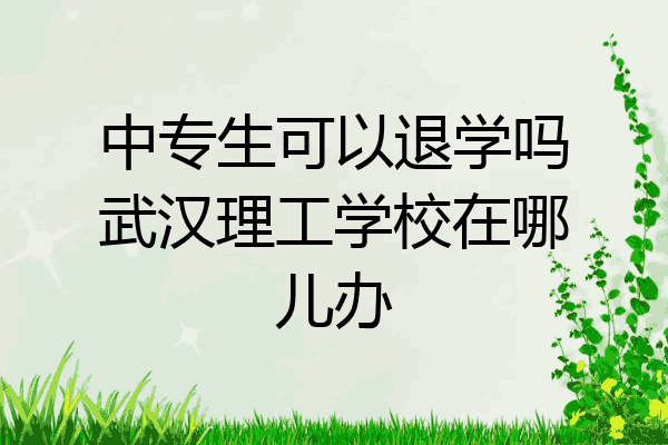 中专生可以退学吗武汉理工学校在哪儿办