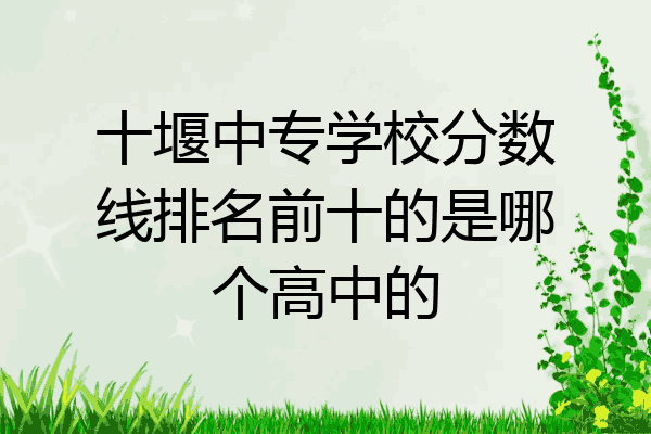 十堰中专学校分数线排名前十的是哪个高中的