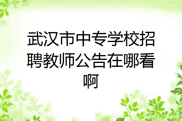 武汉市中专学校招聘教师公告在哪看啊