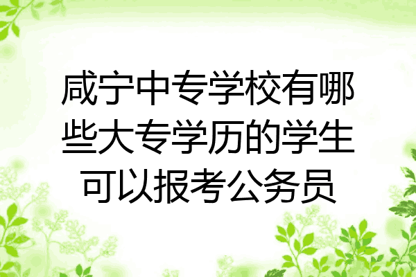 咸宁中专学校有哪些大专学历的学生可以报考公务员
