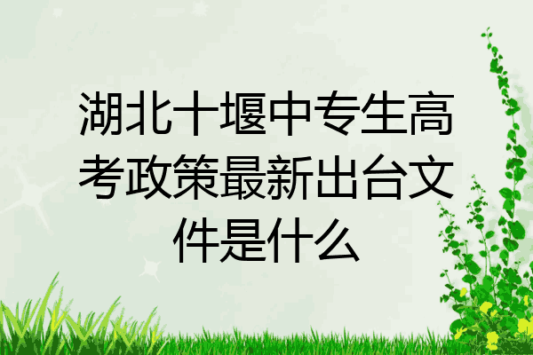 湖北十堰中专生高考政策最新出台文件是什么