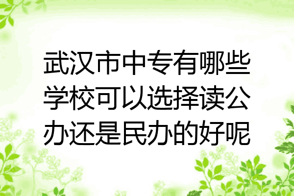 武汉市中专有哪些学校可以选择读公办还是民办的好呢