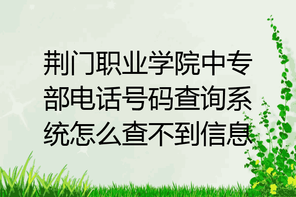 荆门职业学院中专部电话号码查询系统怎么查不到信息