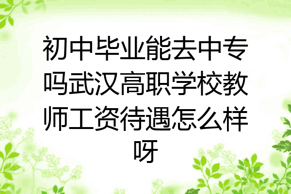 初中毕业能去中专吗武汉高职学校教师工资待遇怎么样呀