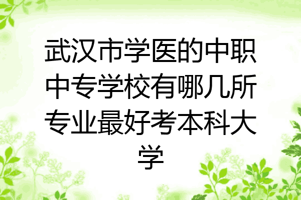 武汉市学医的中职中专学校有哪几所专业最好考本科大学