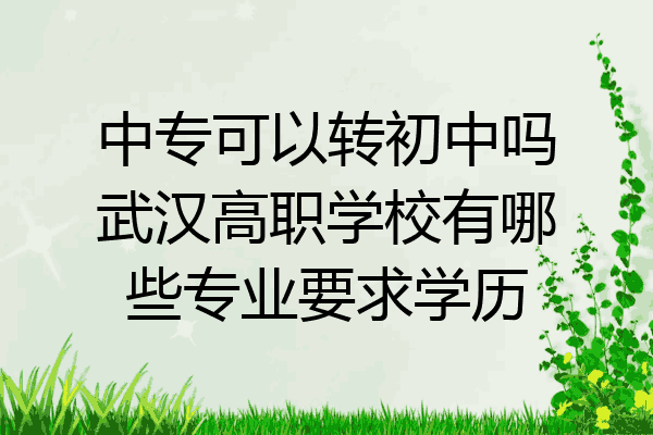 中专可以转初中吗武汉高职学校有哪些专业要求学历