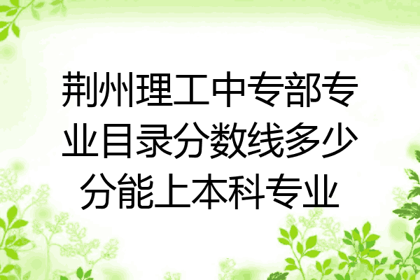 荆州理工中专部专业目录分数线多少分能上本科专业