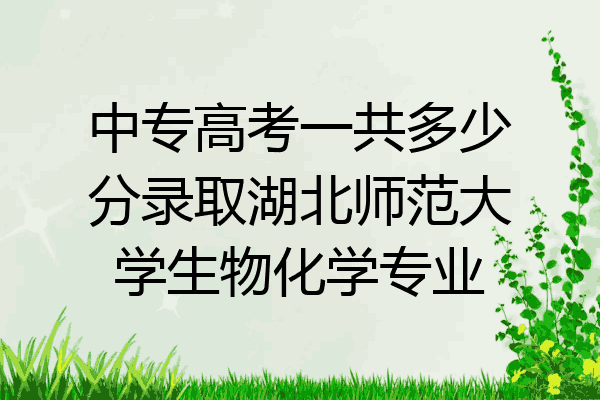 中专高考一共多少分录取湖北师范大学生物化学专业