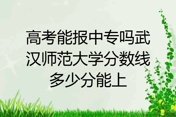 高考能报中专吗武汉师范大学分数线多少分能上