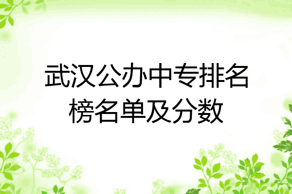 武汉公办中专排名榜名单及分数