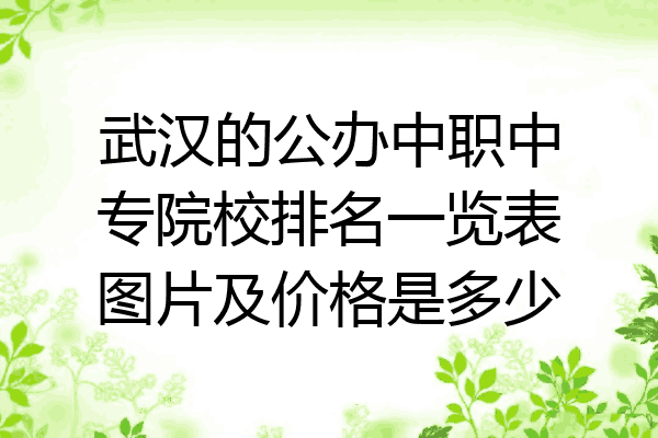 武汉的公办中职中专院校排名一览表图片及价格是多少