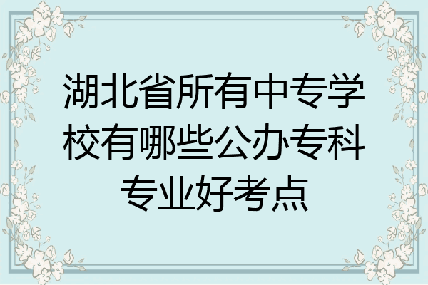 湖北省所有中专学校有哪些公办专科专业好考点