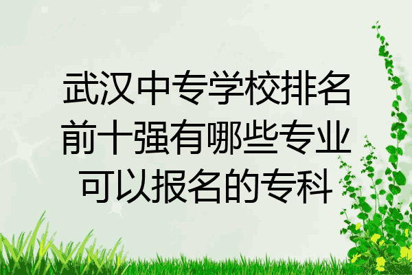 武汉中专学校排名前十强有哪些专业可以报名的专科