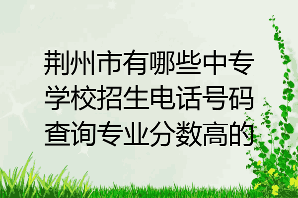荆州市有哪些中专学校招生电话号码查询专业分数高的