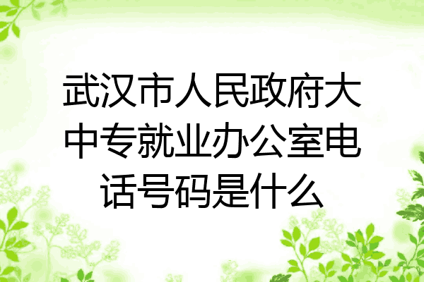 武汉市人民政府大中专就业办公室电话号码是什么