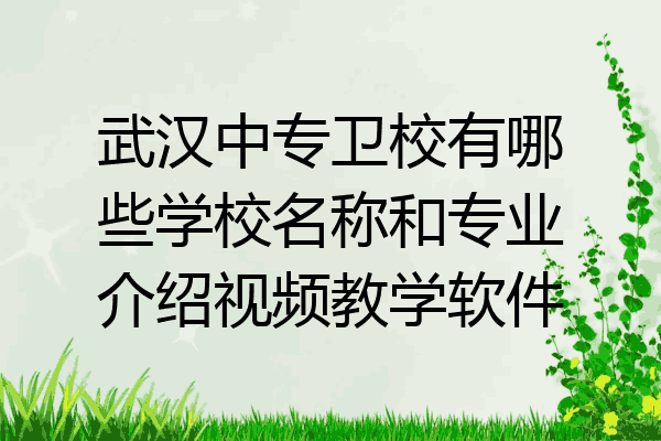 武汉中专卫校有哪些学校名称和专业介绍视频教学软件