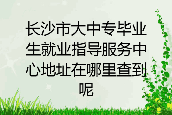 长沙市大中专毕业生就业指导服务中心地址在哪里查到呢