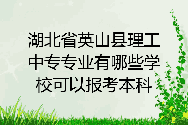 湖北省英山县理工中专专业有哪些学校可以报考本科