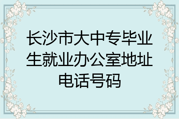 长沙市大中专毕业生就业办公室地址电话号码