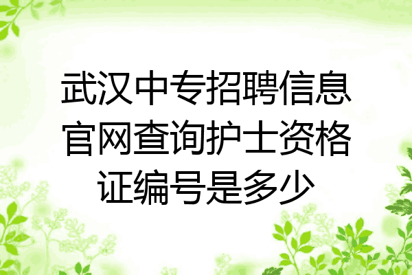武汉中专招聘信息官网查询护士资格证编号是多少