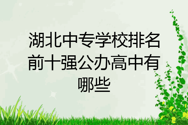 湖北中专学校排名前十强公办高中有哪些