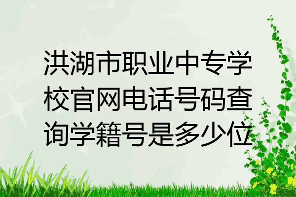 洪湖市职业中专学校官网电话号码查询学籍号是多少位