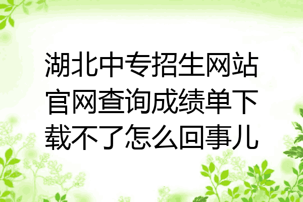 湖北中专招生网站官网查询成绩单下载不了怎么回事儿
