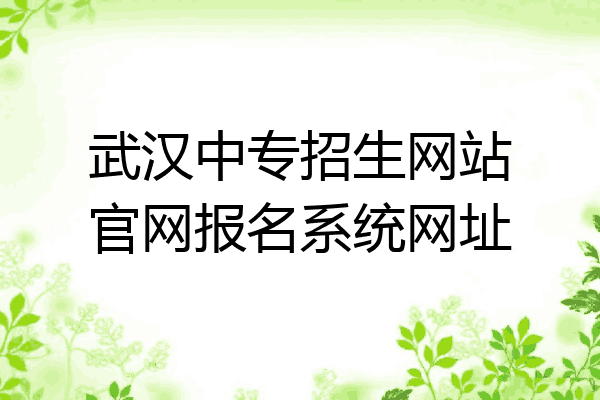 武汉中专招生网站官网报名系统网址