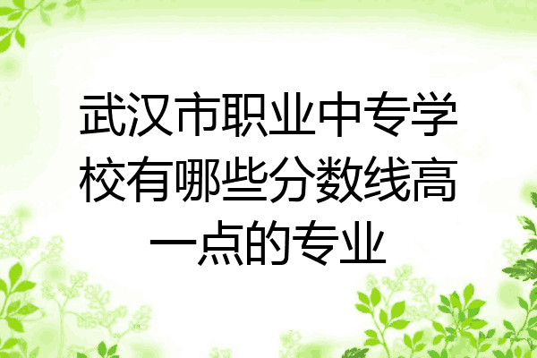 武汉市职业中专学校有哪些分数线高一点的专业