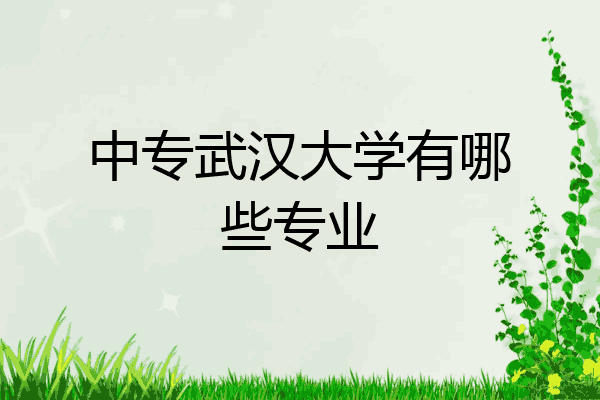 中专武汉大学有哪些专业