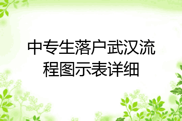 中专生落户武汉流程图示表详细