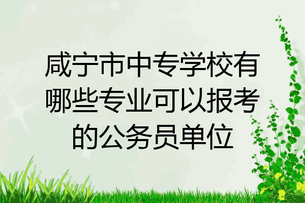 咸宁市中专学校有哪些专业可以报考的公务员单位