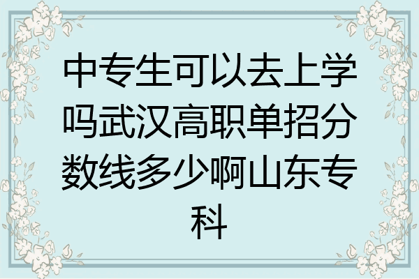 中专生可以去上学吗武汉高职单招分数线多少啊山东专科