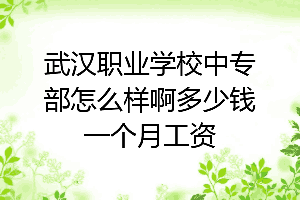 武汉职业学校中专部怎么样啊多少钱一个月工资