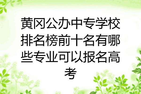 黄冈公办中专学校排名榜前十名有哪些专业可以报名高考