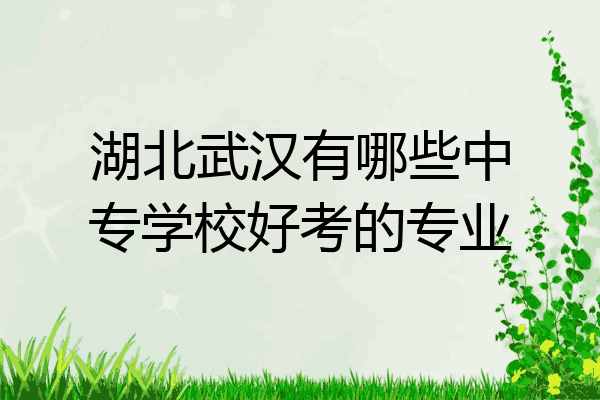 湖北武汉有哪些中专学校好考的专业