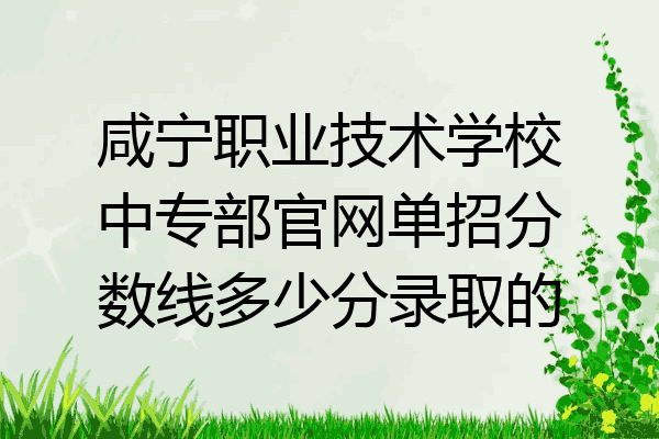 咸宁职业技术学校中专部官网单招分数线多少分录取的