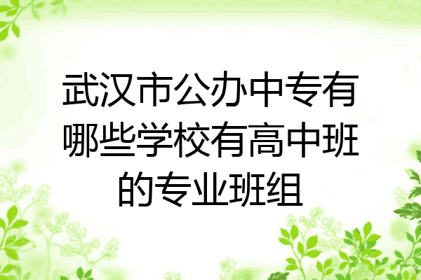 武汉市公办中专有哪些学校有高中班的专业班组
