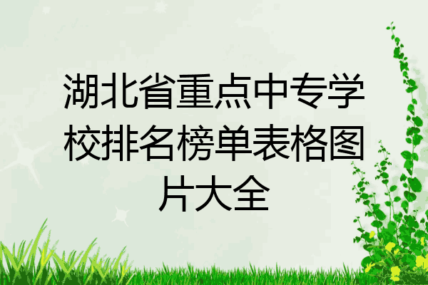 湖北省重点中专学校排名榜单表格图片大全