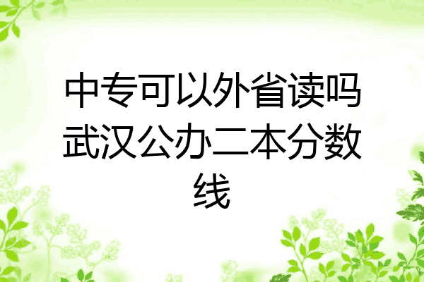 中专可以外省读吗武汉公办二本分数线
