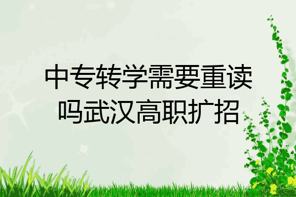 中专转学需要重读吗武汉高职扩招
