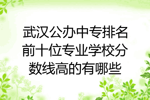 武汉公办中专排名前十位专业学校分数线高的有哪些
