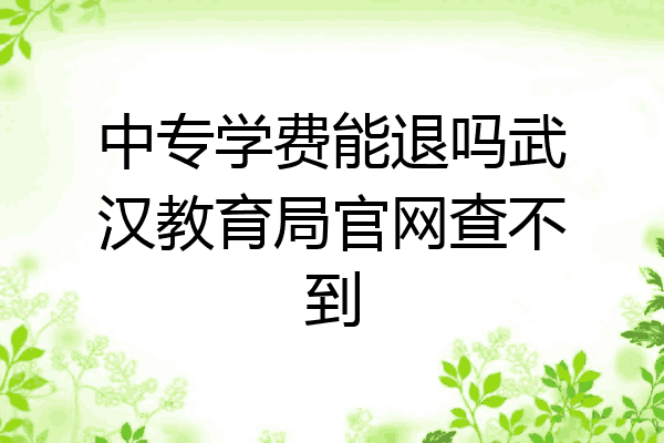 中专学费能退吗武汉教育局官网查不到