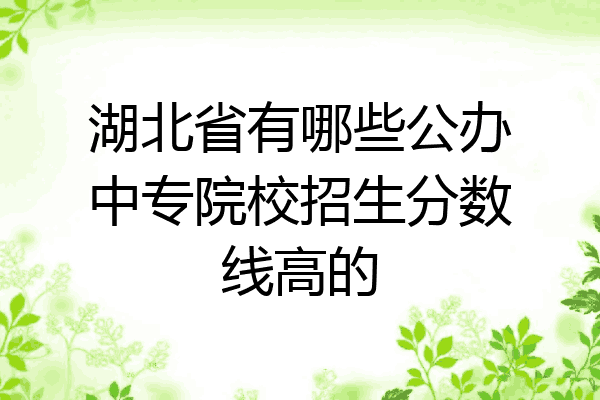 湖北省有哪些公办中专院校招生分数线高的